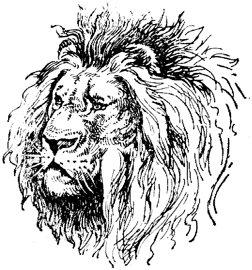 Printable Zentangle Lion Head Coloring Book Free Printable Coloring ...